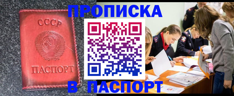 прописка для школы в Сальске